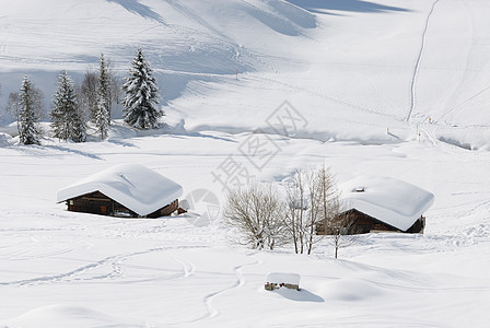 雪下的山丘小屋季节牧场小木屋建筑栖息地森林孤独木头知识房子图片