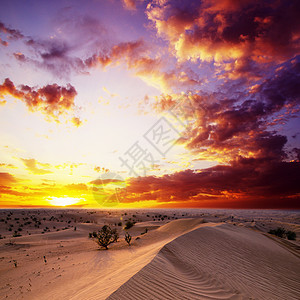 荒漠蓝色土地天空海浪涟漪阳光日落天际海滩谷物图片
