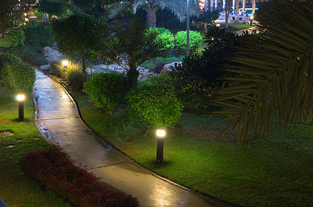 夜间花园街道公园土地小路来源灌木照片灯柱植物图片