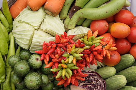 蔬菜的收集沙拉食物红色绿色水平黄瓜茄子收藏饮食市场图片