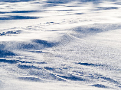 风飘雪 在雪地表面重飞水晶阴影环境阳光雪层积雪气候天气降雪飞行图片