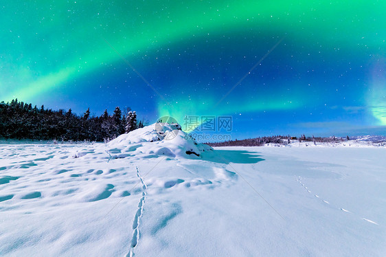 强烈展示北光的北极光地区领土太阳风森林极光戏剧性月亮天空亮度蓝色图片