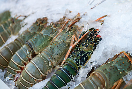 冰上新鲜龙虾荒野海鲜市场摊位餐厅零售食物店铺甲壳纲热带图片