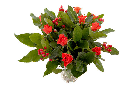 红花和叶子花瓶树叶玫瑰红色花朵绿色背景图片