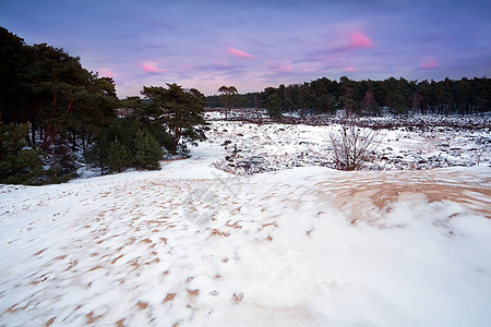 日落时雪沙丘上图片