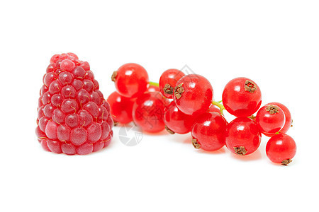 一棵草莓和红咖喱果 在特制中图片