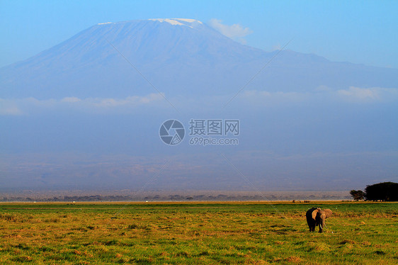 非洲乞力马扎罗山火山天空动物冰川公园大草原草原野生动物顶峰图片