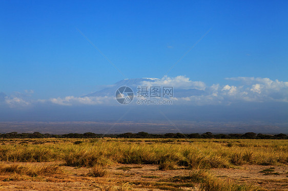 非洲乞力马扎罗山草原公园火山大草原冰川天空顶峰图片