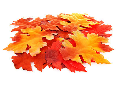 丝绸多彩的秋叶 紧紧结地图片