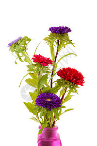 花瓶中的花朵植物群工作室季节性花束图片