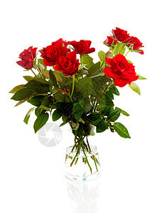红色玫瑰花团花瓣树叶荆棘工作室花束植物花瓶图片