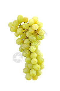 一堆白葡萄白色维生素绿色甜点食物藤蔓水果图片