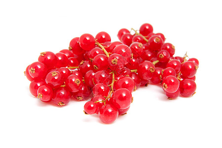 红色莓集群图片
