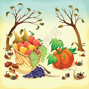 秋天的水果和蔬菜图片