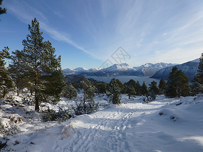 Fjord和山山脚印蓝色海岸山脉白色峡湾松树天空图片