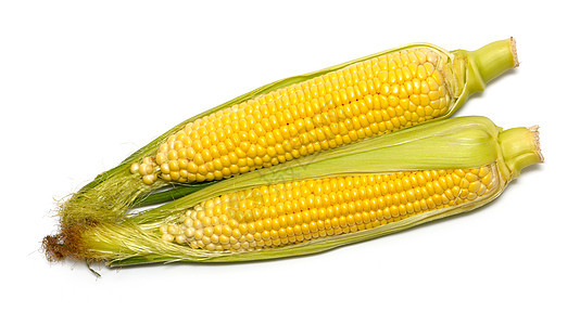 孤立的玉米 设计的要素图片