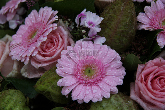 粉红玫瑰和黄花绿色花瓣花朵植物群花束玫瑰植物花店白色图片