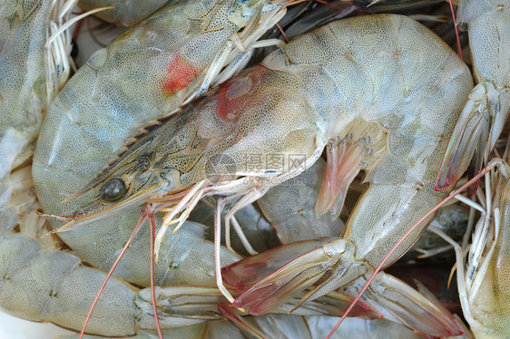 虾 虾海鲜生食市场食物图片