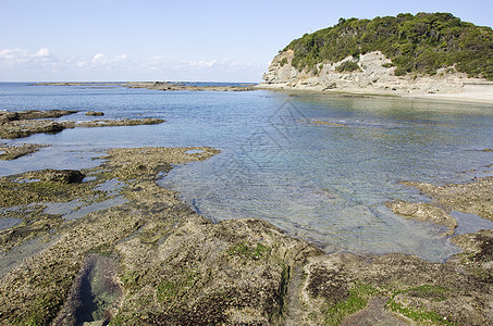 潮交平板岩石海岸线卵石森林蓝色运动海洋冲浪海滩天空巨石图片