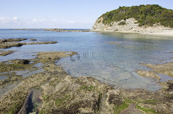 潮交平板岩石海岸线卵石森林蓝色运动海洋冲浪海滩天空巨石图片