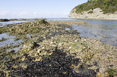 潮交平板岩石巨石卵石海浪海景冲浪边缘运动地平线荒野海岸线图片