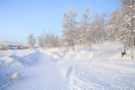 冬季景观花园图片