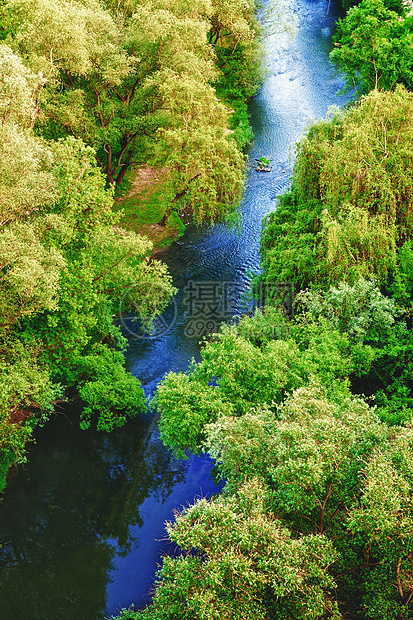森林河风景天蓝色国家照片反射叶子溪流镜子树叶蓝色图片