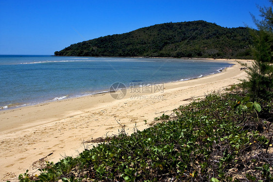 须知浅蓝色海藻支撑爬坡树木海洋真子海滩小岛木头图片
