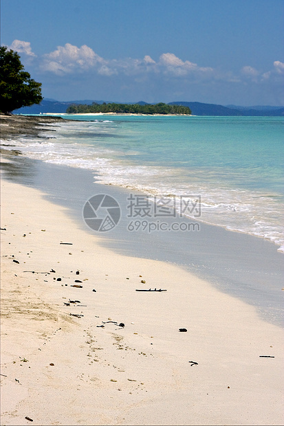 蓝色轻蓝 有鼻子的石头泡沫树木海洋海岸线支撑海藻波浪岩石低潮图片