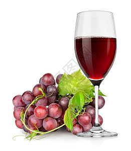酒杯和葡萄藤蔓健康饮食饮料干红甜点叶子玻璃水果液体甜食图片