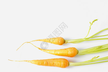 新鲜新生婴儿胡萝卜团体植物树叶橙子蔬菜食物叶子美食饮食萝卜图片
