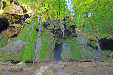 瀑布植物荒野绿色叶子水景流动岩石森林运动环境图片