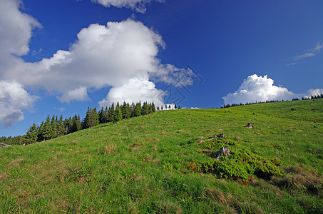 山区草地蓝色天空牧场高山爬坡森林绿色场景丘陵乡村图片