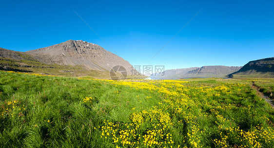 西峡湾草地远景海洋海岸丘陵岩石支撑绿色冰川风景图片