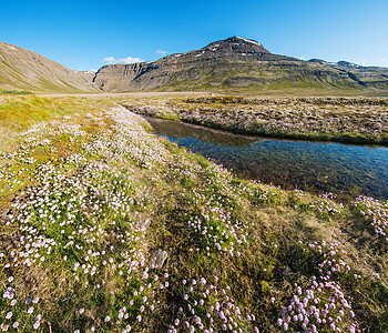 西峡湾绿色远景冰川丘陵峡湾反射半岛花朵支撑蓝色图片