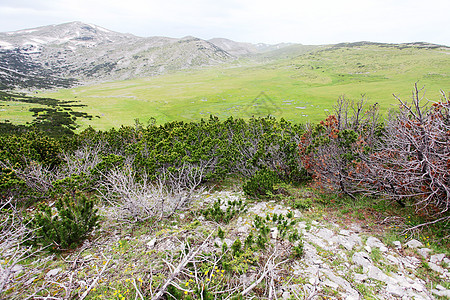 马其顿的贝戈沃地区风景旅行国家高原土地公园荒野草地环境池塘图片