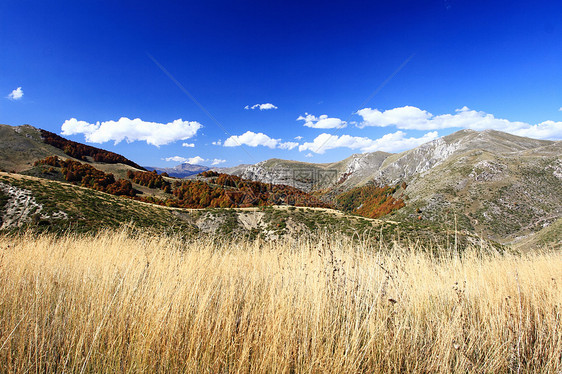 马其顿的景观蓝色森林天空场景荒野植被农村爬坡环境风景图片