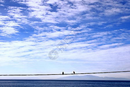 鸟儿在钢丝上天空晴天鸽子风景地平线金属夫妻蓝色图片