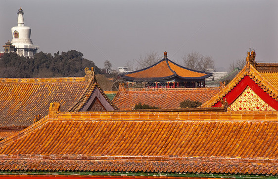 蓝殿堂 紫禁市黄屋顶Gugong Pa图片