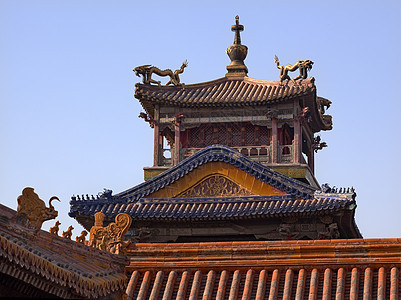 中国北京 紫禁城宫龙殿堂 首贡地标历史建筑纪念碑文化蓝色图片