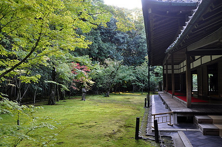 日本京都小藤寺庙的日本花园旅行假期神道庭园花园传统访问神社季节石头图片