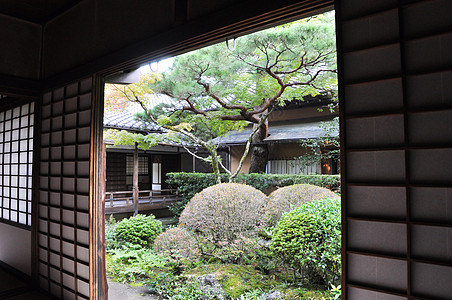 日本花园在高藤的日本花园中 位于代多库吉的一个子台阶下宗教精神大德琴院花园石头旅行神道寺庙季节图片