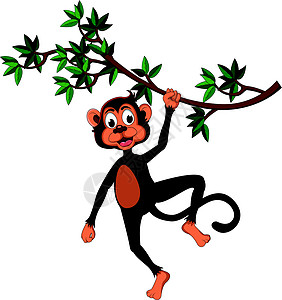 树上可爱的猴子图片