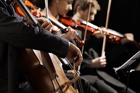 古典音乐音乐会交响乐乐器古典音乐男人小提琴演奏团队乐队水平音乐家图片