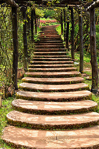 花园的楼梯植物木头绿色途径人行道踪迹石头公园小路图片