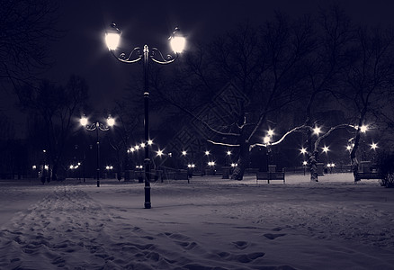 冬季夜间公园路灯风景树木长椅城市下雪建筑灯笼大街图片