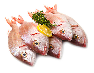 海洋烟雾鲻鱼工作室白色皇家迷迭香鲷鱼食物红色膳食饮食图片