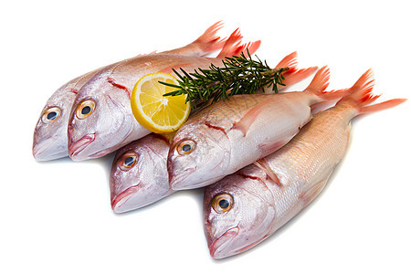 海洋烟雾膳食鲻鱼迷迭香鲷鱼柠檬工作室饮食市场红色食物图片