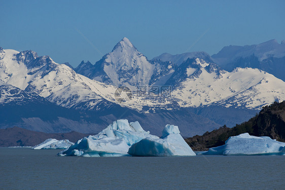 冰山漂浮在阿根廷湖上旅游世界遗产漂流旅行蓝色全景冰川公园图片