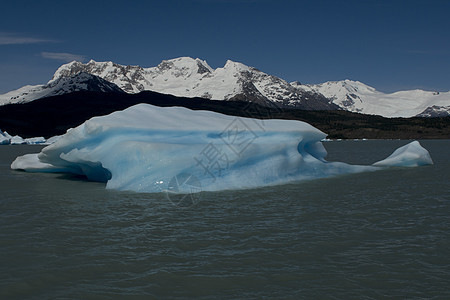 冰山漂浮在阿根廷湖上漂流世界遗产冰川旅行旅游公园蓝色全景图片